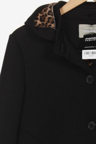 Amber & June Jacket & Coat in M in Black