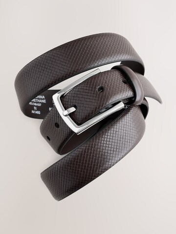 Next Belt in Brown