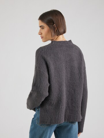 Won Hundred Sweter w kolorze szary