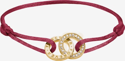 Thomas Sabo Armband in 24 in goldgelb / rot, Produktansicht