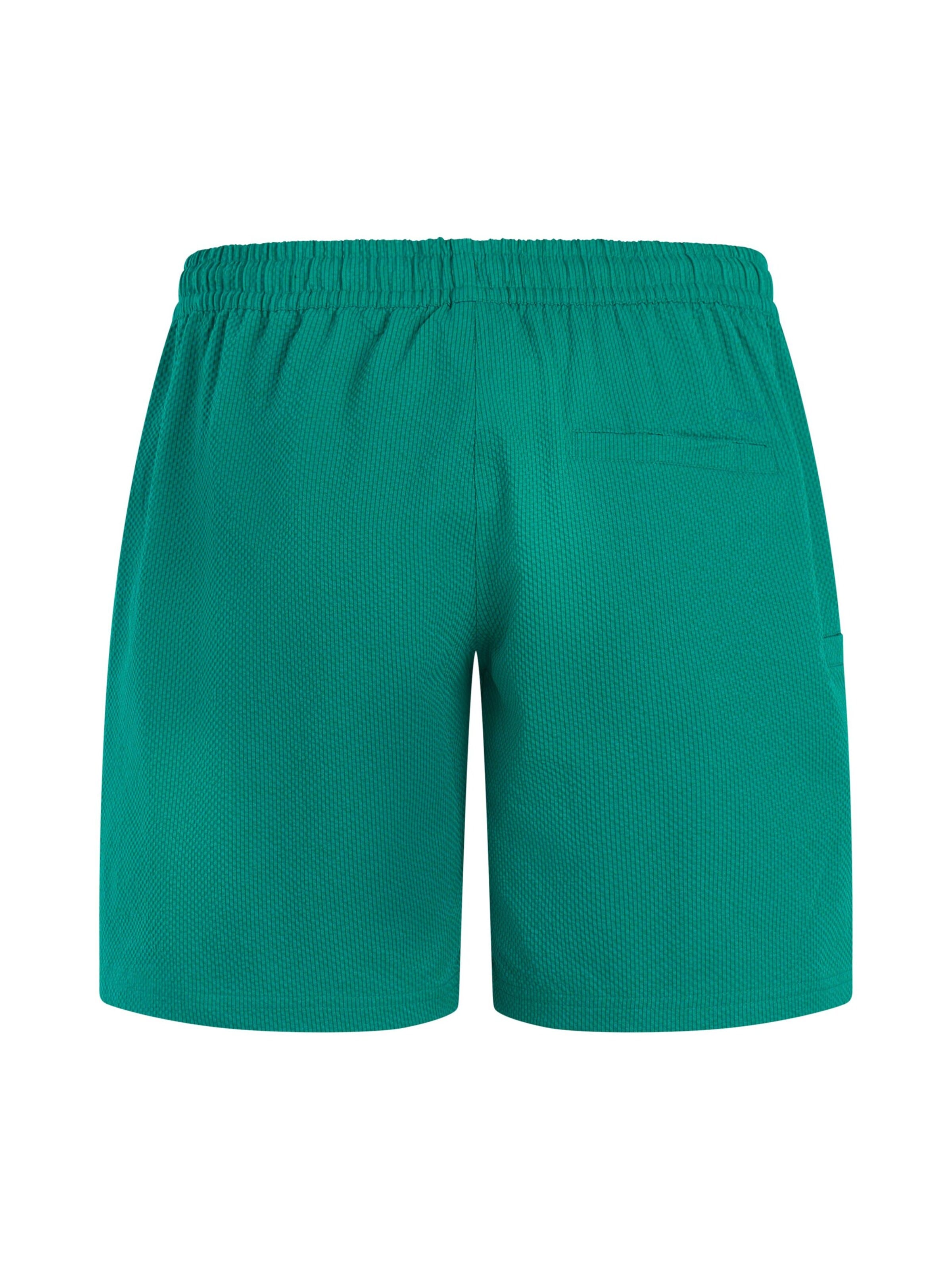 PROTEST Boardshorts 'PRTAgaat 25'‌‌‌ in Grün