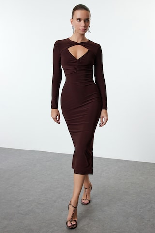 Trendyol Dress in Brown: front