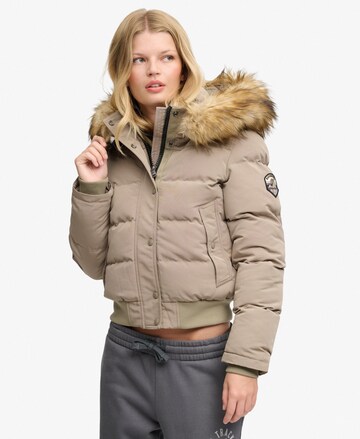 Superdry & Co Winter Jacket 'Everest' in Brown