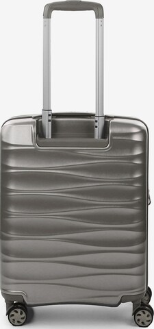 Roncato Trolley in Silber