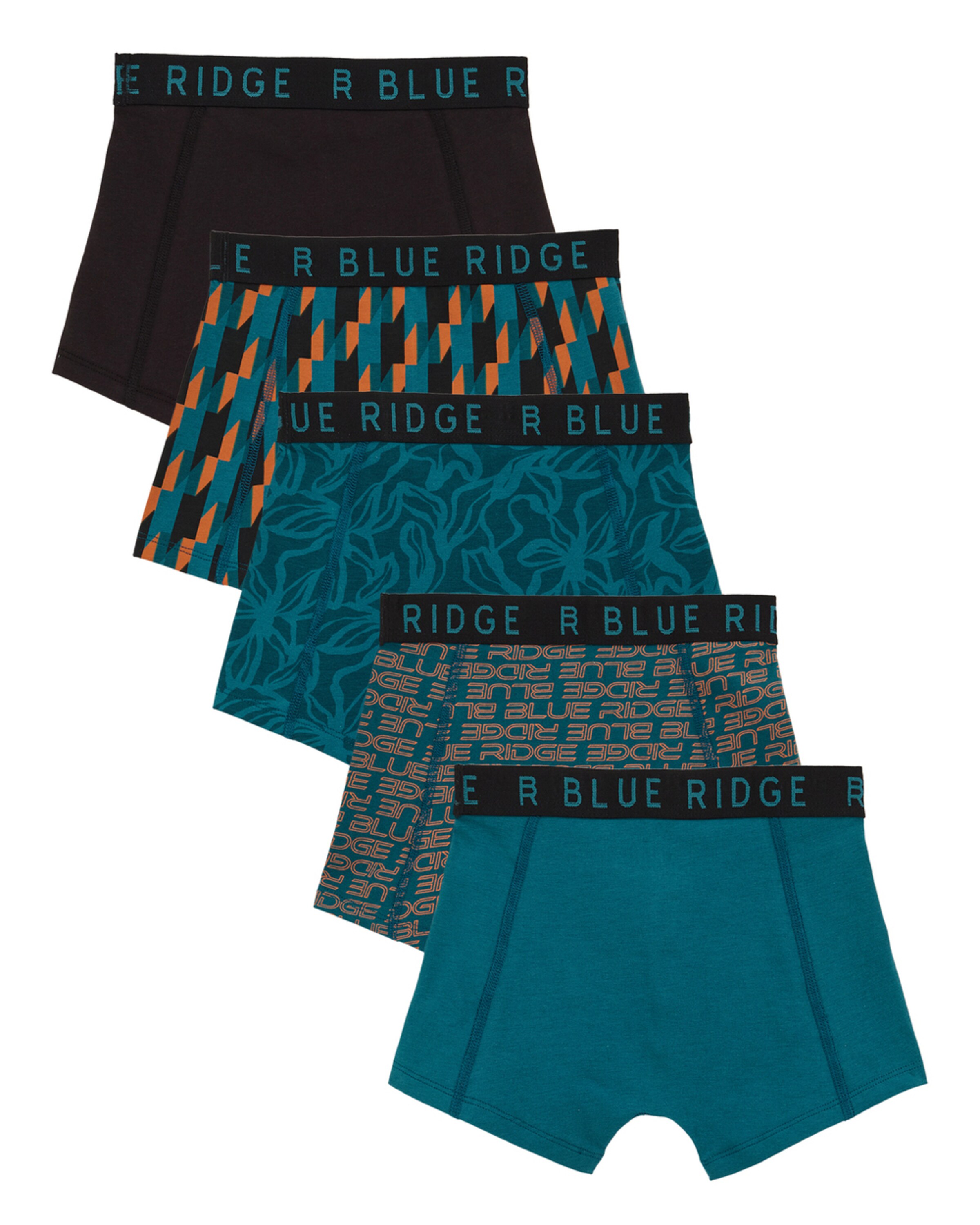 mišri WE Fashion Apatinės kelnaitės: priekis