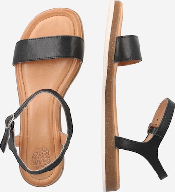 Apple of Eden Strap sandal 'Isa' in Black