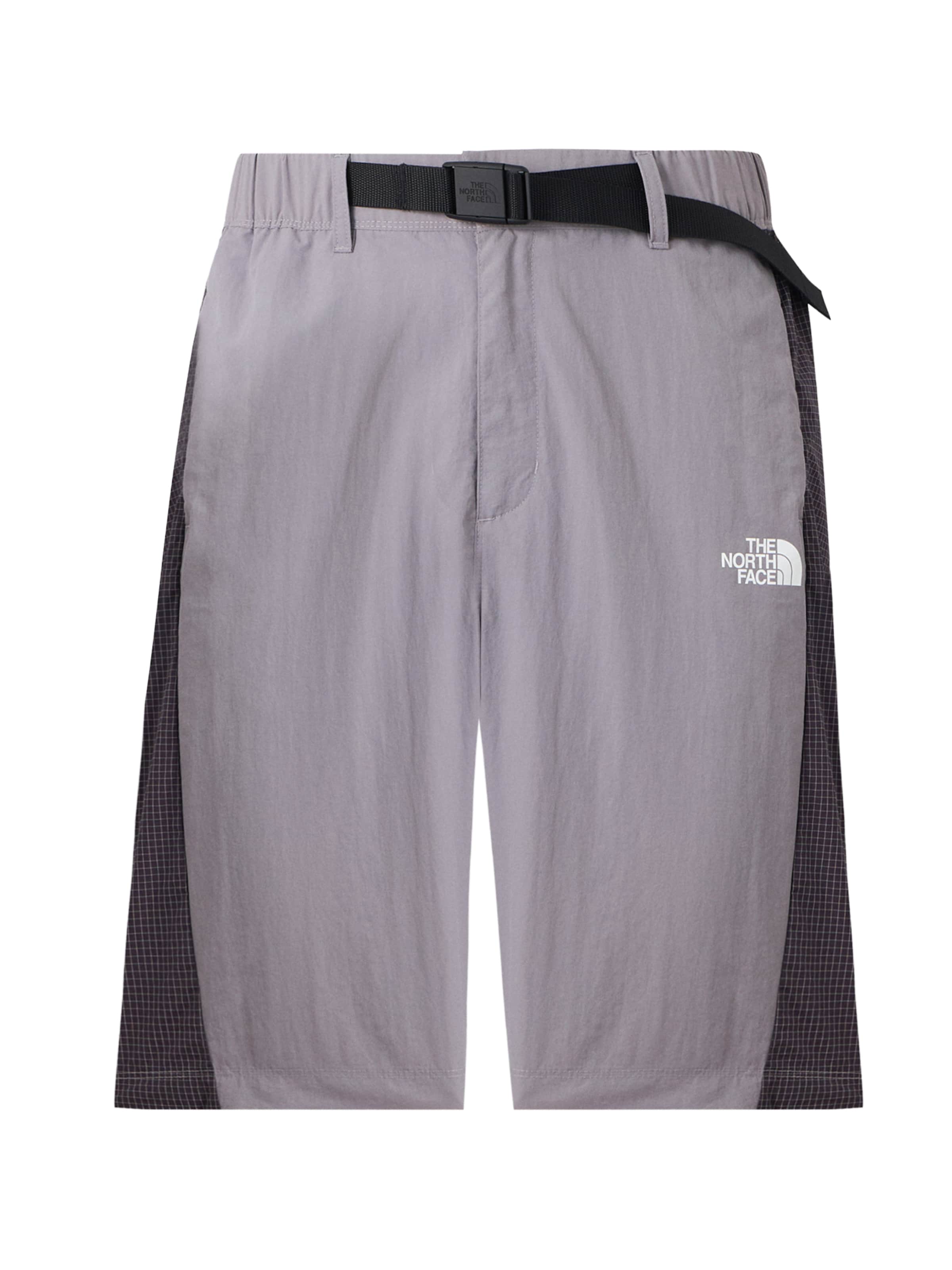 Regular Pantaloni de la THE NORTH FACE pe gri: față