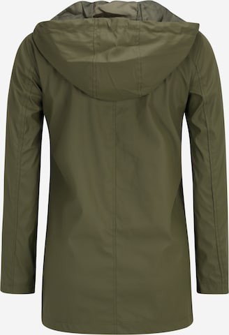 Dorothy Perkins Petite Prehodna jakna | zelena barva