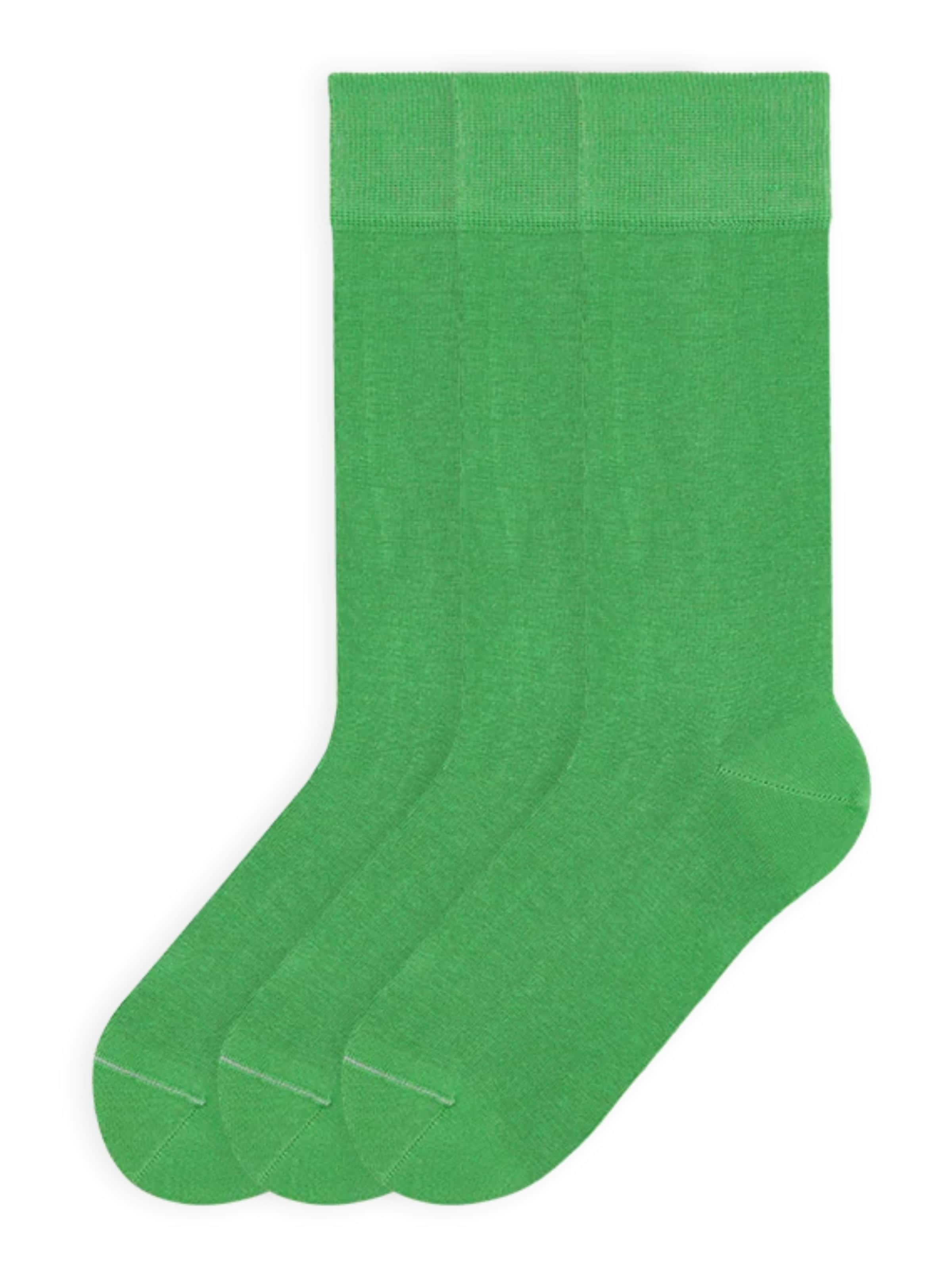 Von Jungfeld Socks 'Colour' in Green: front