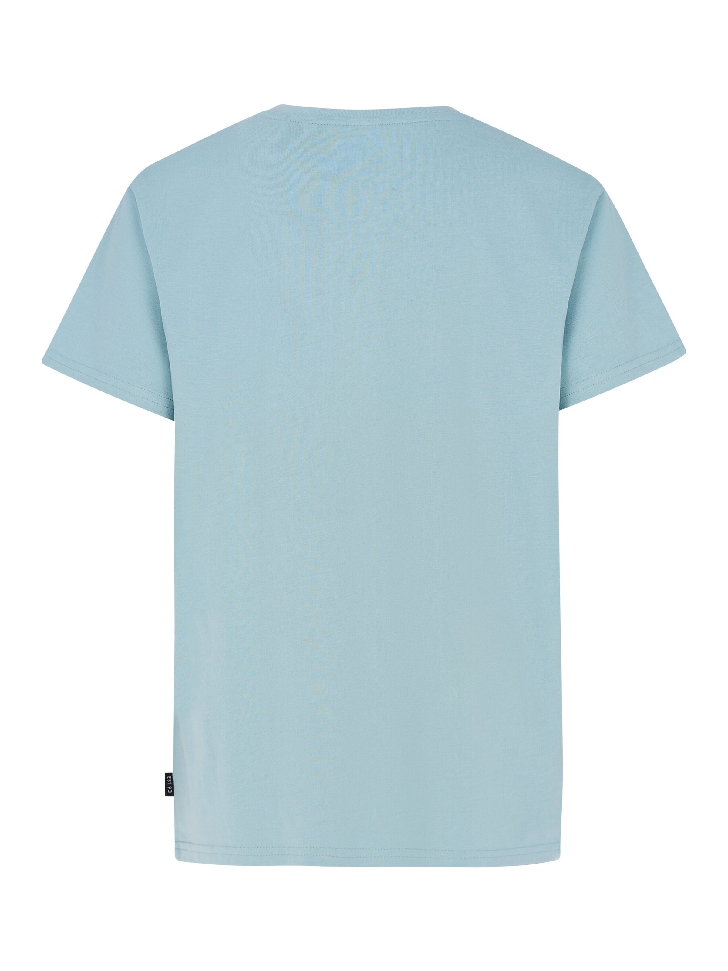 PROTEST Shirt 'PRTLOYD JR' in Blue