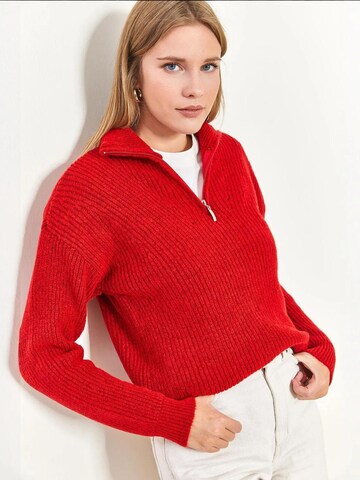 Bianco Lucci - Pullover 'Pullover' em vermelho
