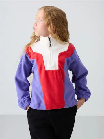 Sweat-shirt 'TOMMY Unisex Jugend-Oversize Color-Blocked Sweatshirt' Tommy Life en mélange de couleurs