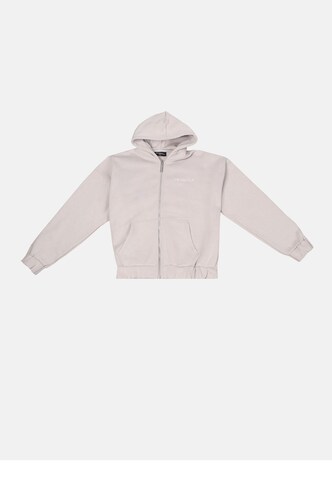 Dropsize Zip-Up Hoodie in Grey: front