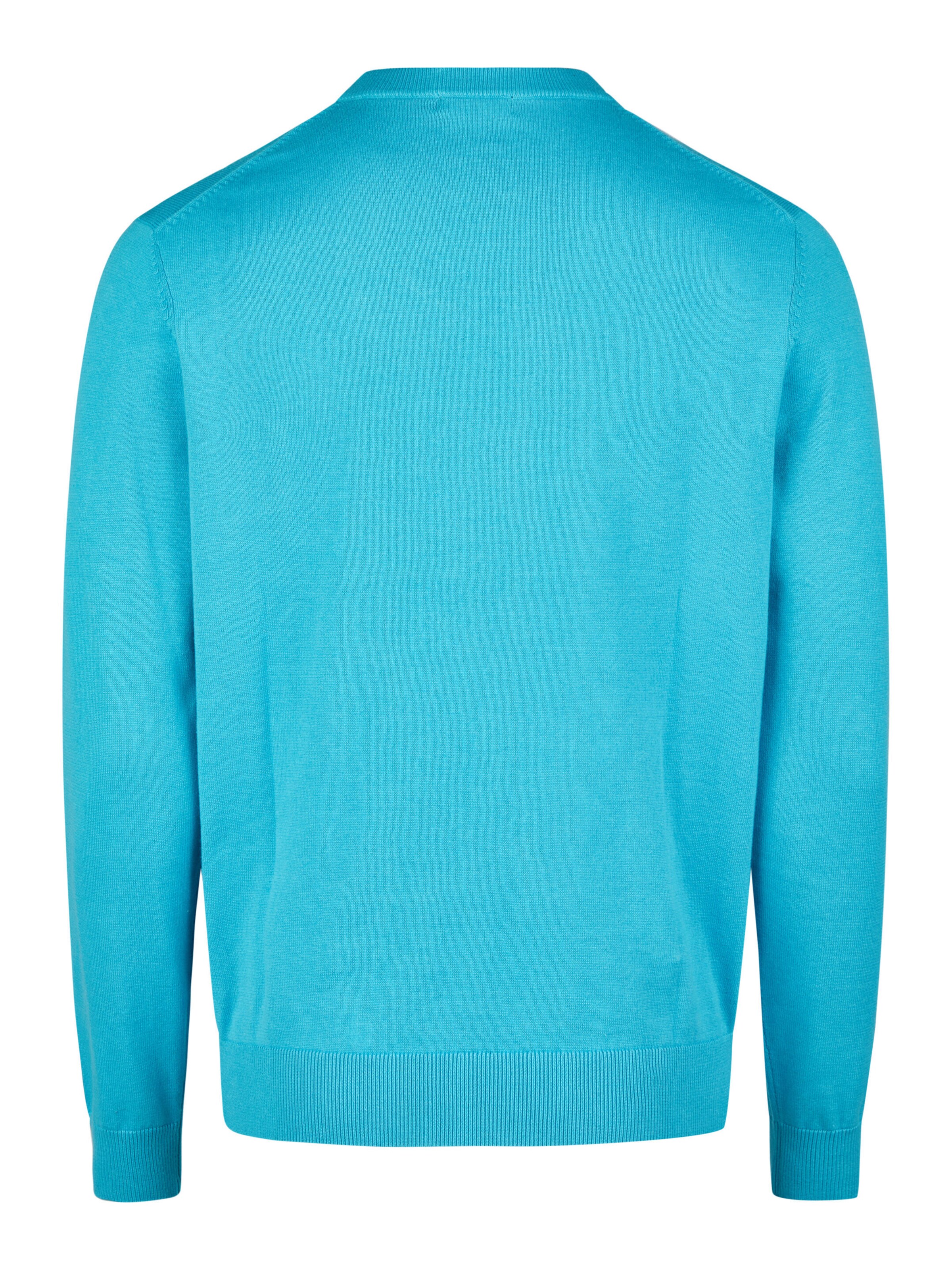 HECHTER PARIS Pullover in Blau