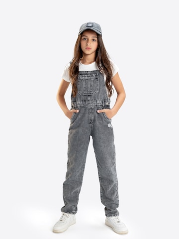 Solang Overall in Grijs: voorkant