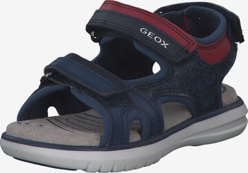 GEOX Sandals & Slippers 'J15DRB' in Blue: front