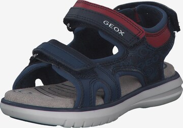 GEOX Offene Schuhe 'J15DRB' in Blau: predná strana