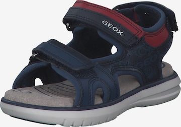 GEOX Offene Schuhe 'J15DRB' in Blau: predná strana