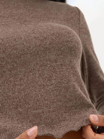 Hiccup Pullover in Braun