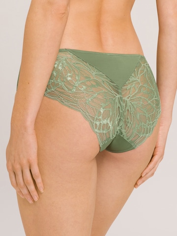 Hanro Panty 'Elia' in Green