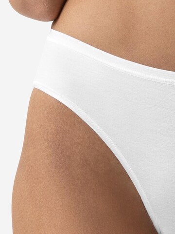 Mey Panty 'Modal Pure' in Brown