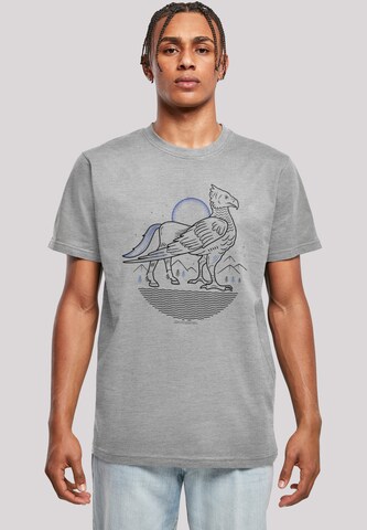 T-Shirt 'Harry Potter Buckbeak Line Art' F4NT4STIC en gris : devant
