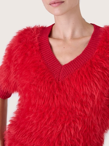 Camomilla Italia Pullover in Rot