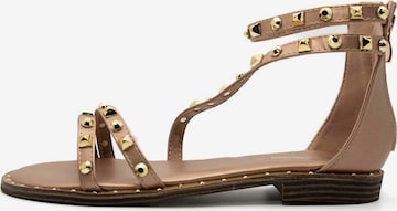 KAMMI Sandals in Brown: front
