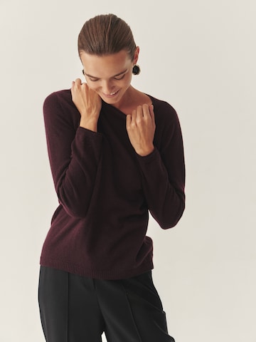 TATUUM Pulover | mešane barve barva