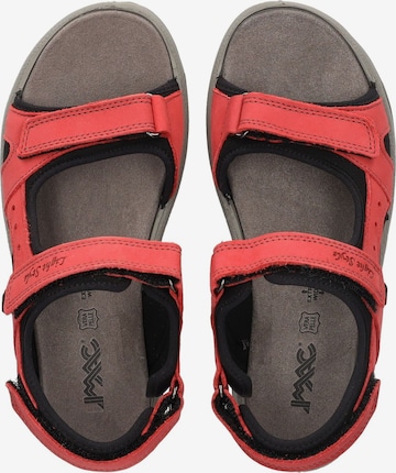 IMAC Hiking Sandals in Red