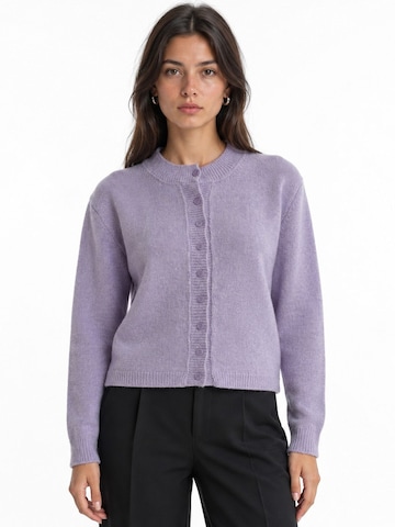 Viorna Knit Cardigan 'Strickjacken' in Purple: front