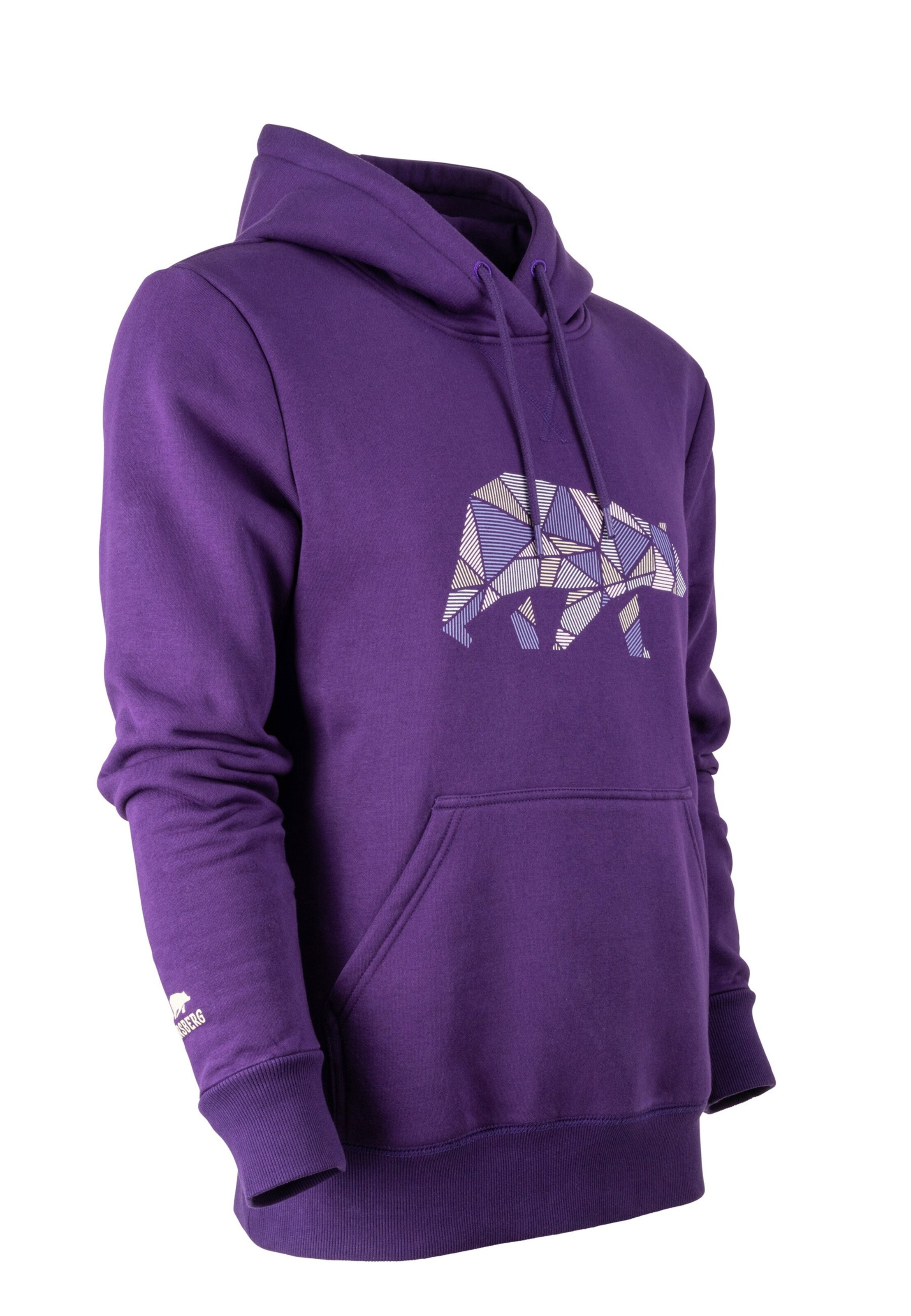 FORSBERG Sweatshirt in Purple