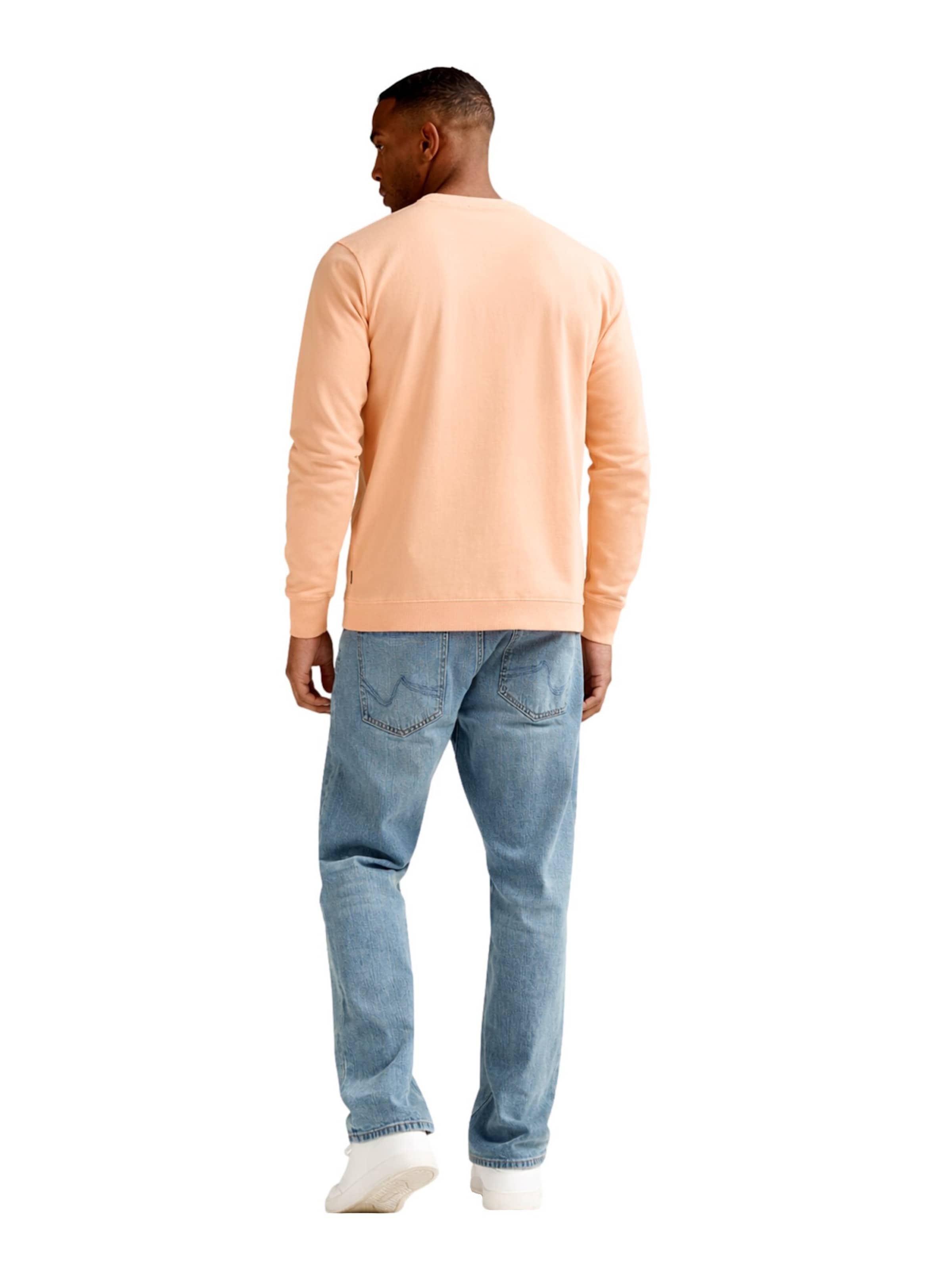 Petrol Industries Sweatshirt in Orange