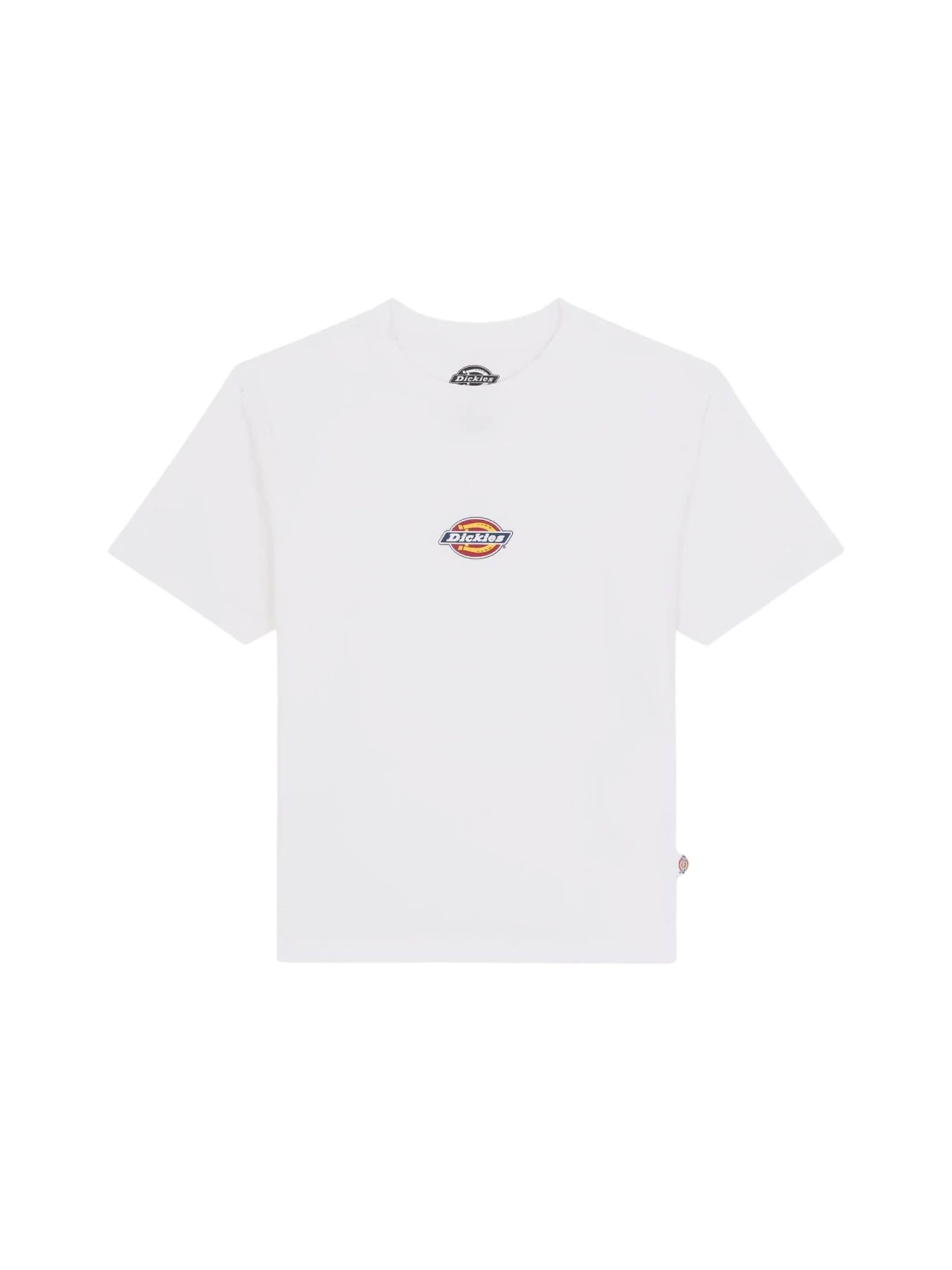 Maglietta 'DICKIES MAPLE VALLEY REG TEE W T-SHIRT' di DICKIES in bianco: frontale