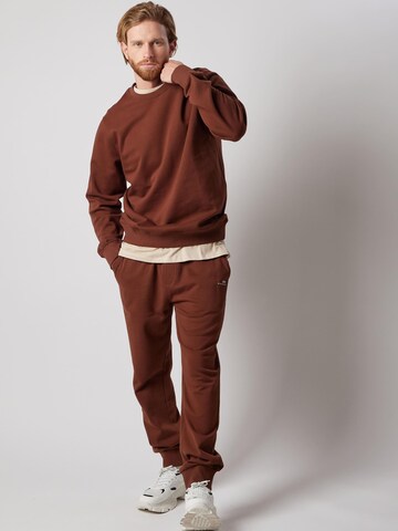 Regular Pantalon 'Joggers Felpati' OWN Off With Nature en marron