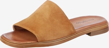 Mirapodo Mules in Brown: front