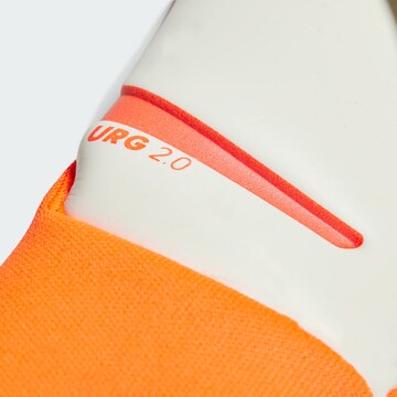 Gants de sport 'Predator Pro Goalkeeper' ADIDAS PERFORMANCE en mélange de couleurs