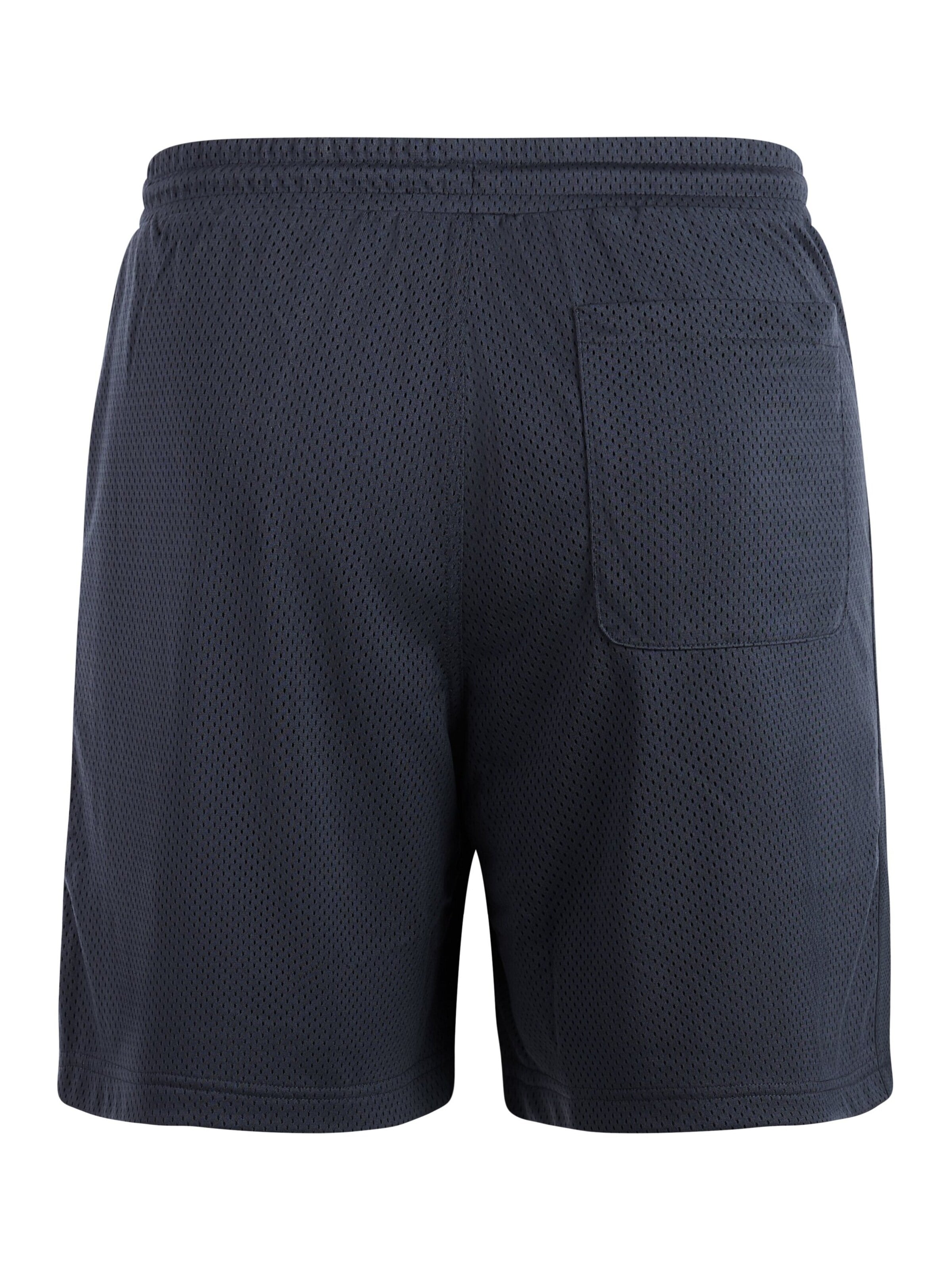 PROTEST Regular Broek 'PRTFrodo' in Blauw