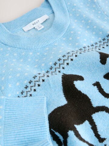 Next Sweater in Blue