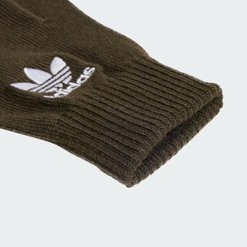 ADIDAS ORIGINALS Vingerhandschoenen in Groen