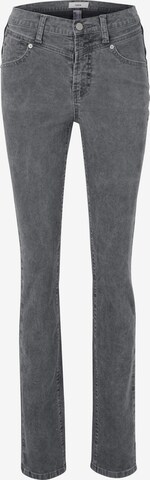 heine Trousers in Grey: front