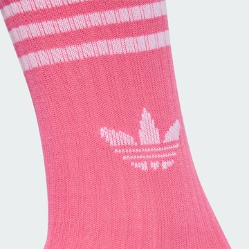 Chaussettes ADIDAS ORIGINALS en violet