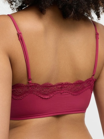 cfabBustier Grudnjak 'Lace Bralette' - roza boja