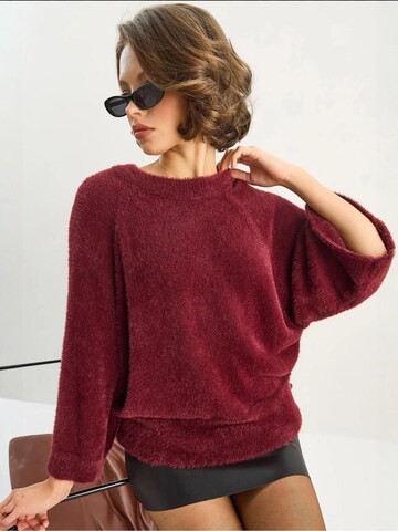 Bianco LucciPulover 'Pullover' - crvena boja