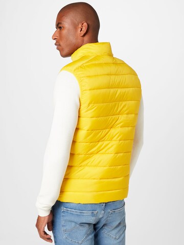 TOM TAILOR Vest in Yellow