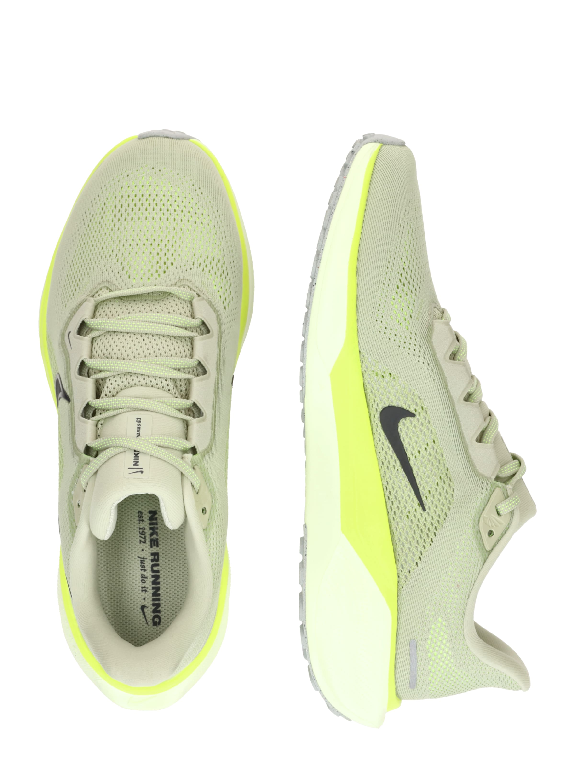 Nike Sportswear Springsko 'AIR ZOOM PEGASUS 41' i grön: sida