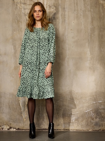 ze-ze Kleid 'Relly 027' in Grün