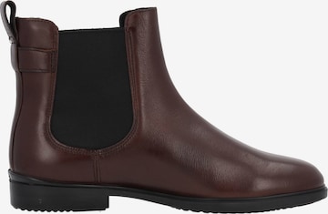 ECCO Ankle Boots 'Dress Classic 209813' in Braun