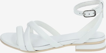 Nero Giardini Strap Sandals in White