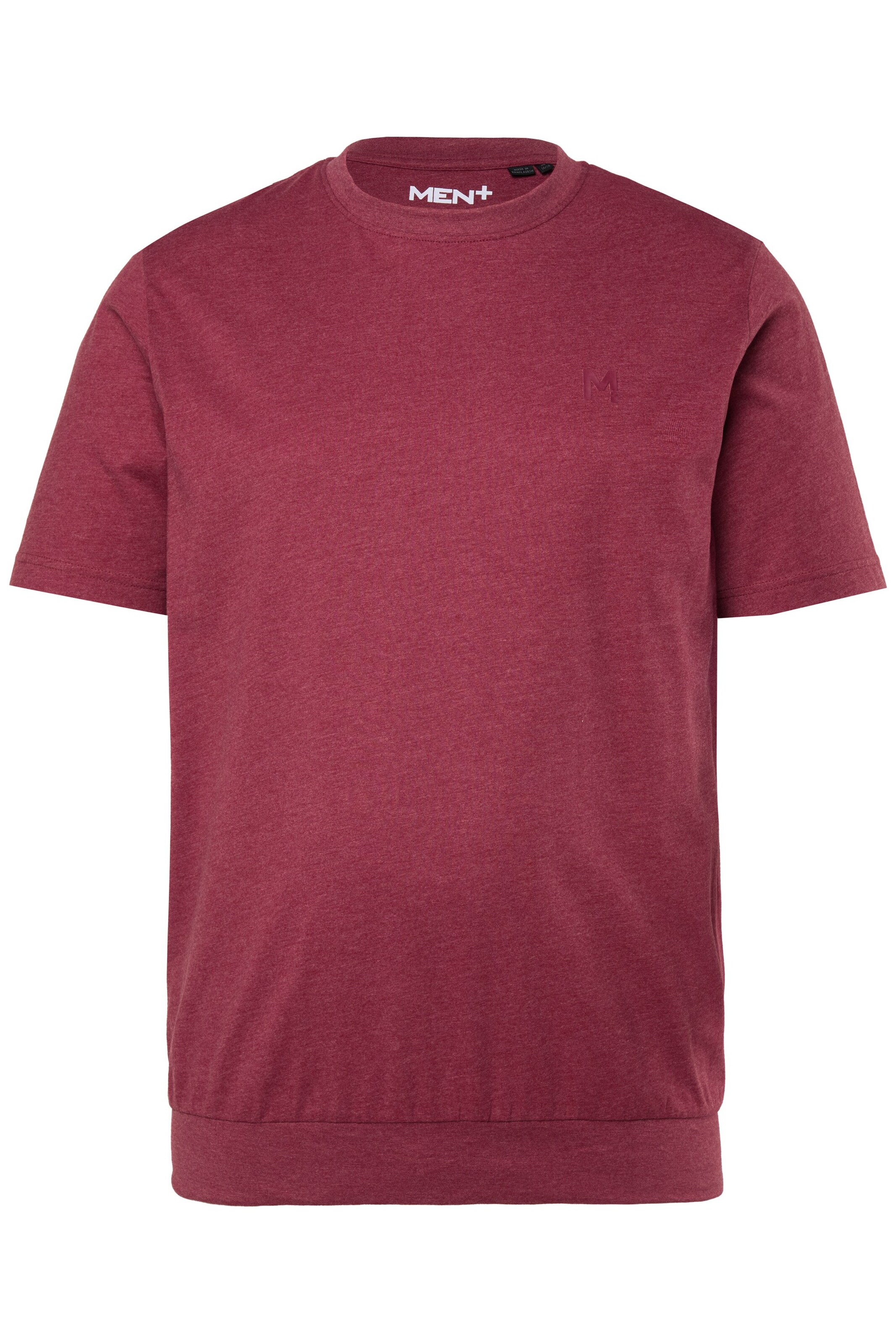 Men Plus Shirt in Brown: front